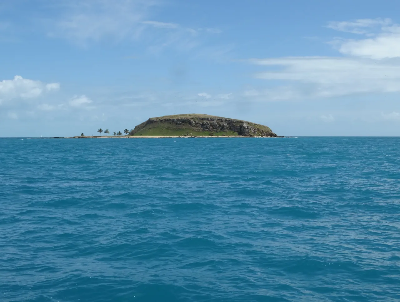 Ilha Redonda, no arquipélago de Abrolhos.