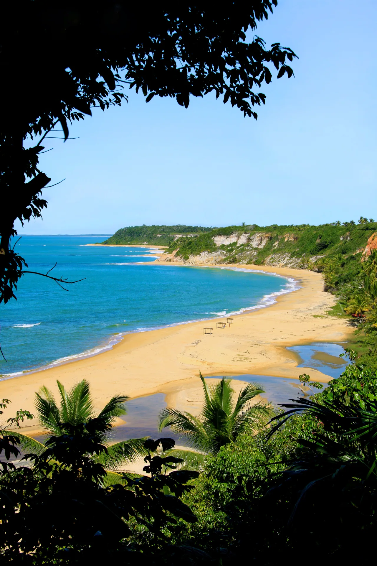 Vista elevada da Praia do Espelho, com areia, coqueiros e falésias ao fundo.